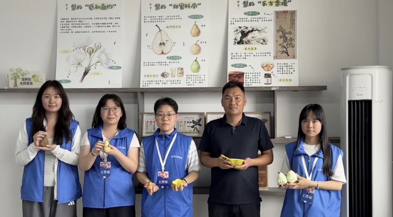 梨文化艺术节活动