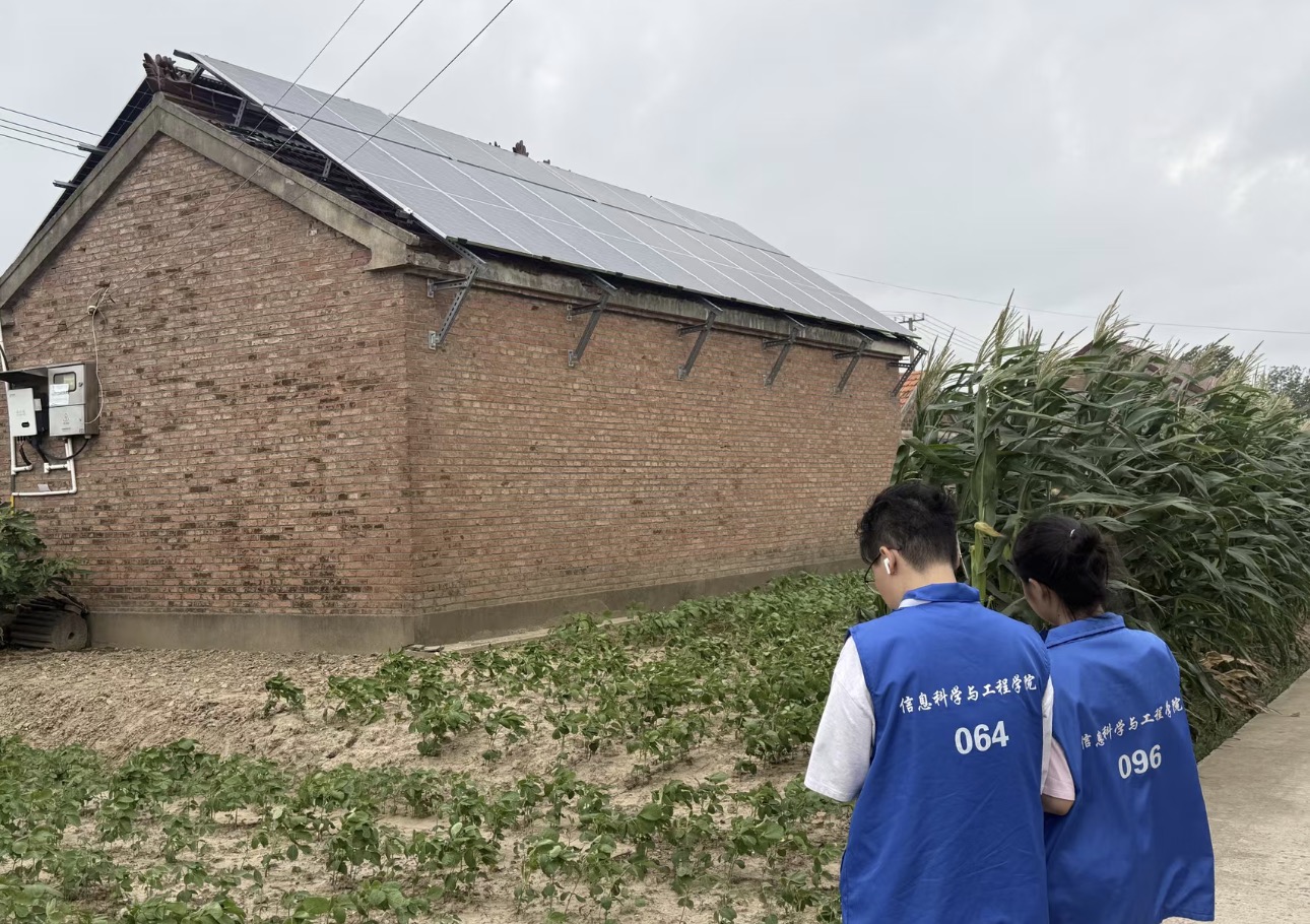 青年志愿者参与基层社会实践